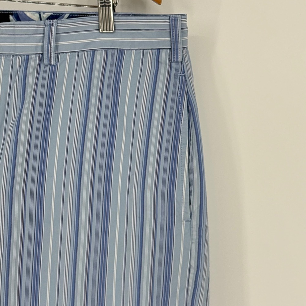 Tommy Hilfiger Men's Shorts Size 38‎ Blue White Vertical Stripe 100% Cotton - Picture 5 of 8